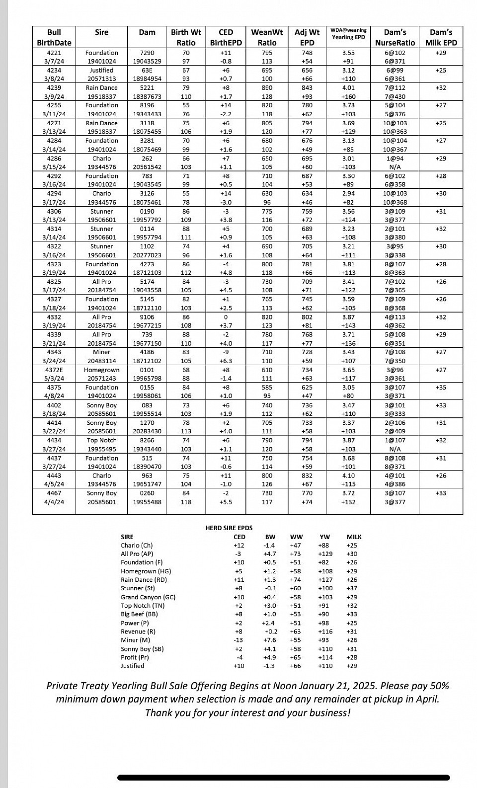2025 Bull Flyer Page 2